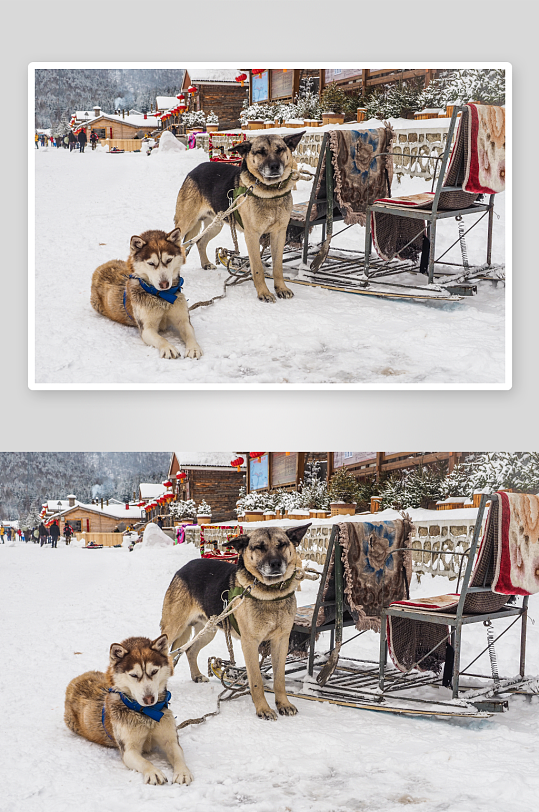 各类雪景原创摄影图图片-众图网