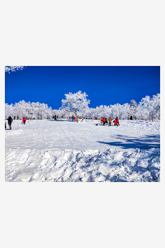 各类雪景原创摄影图图片-众图网