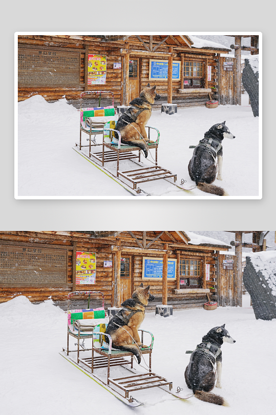 雪景原创摄影图图片-众图网