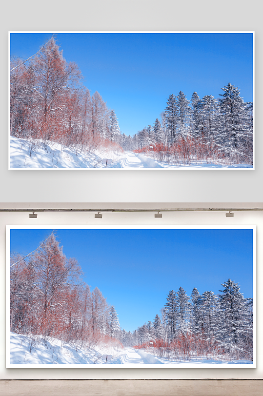 各类雪景原创摄影图图片-众图网