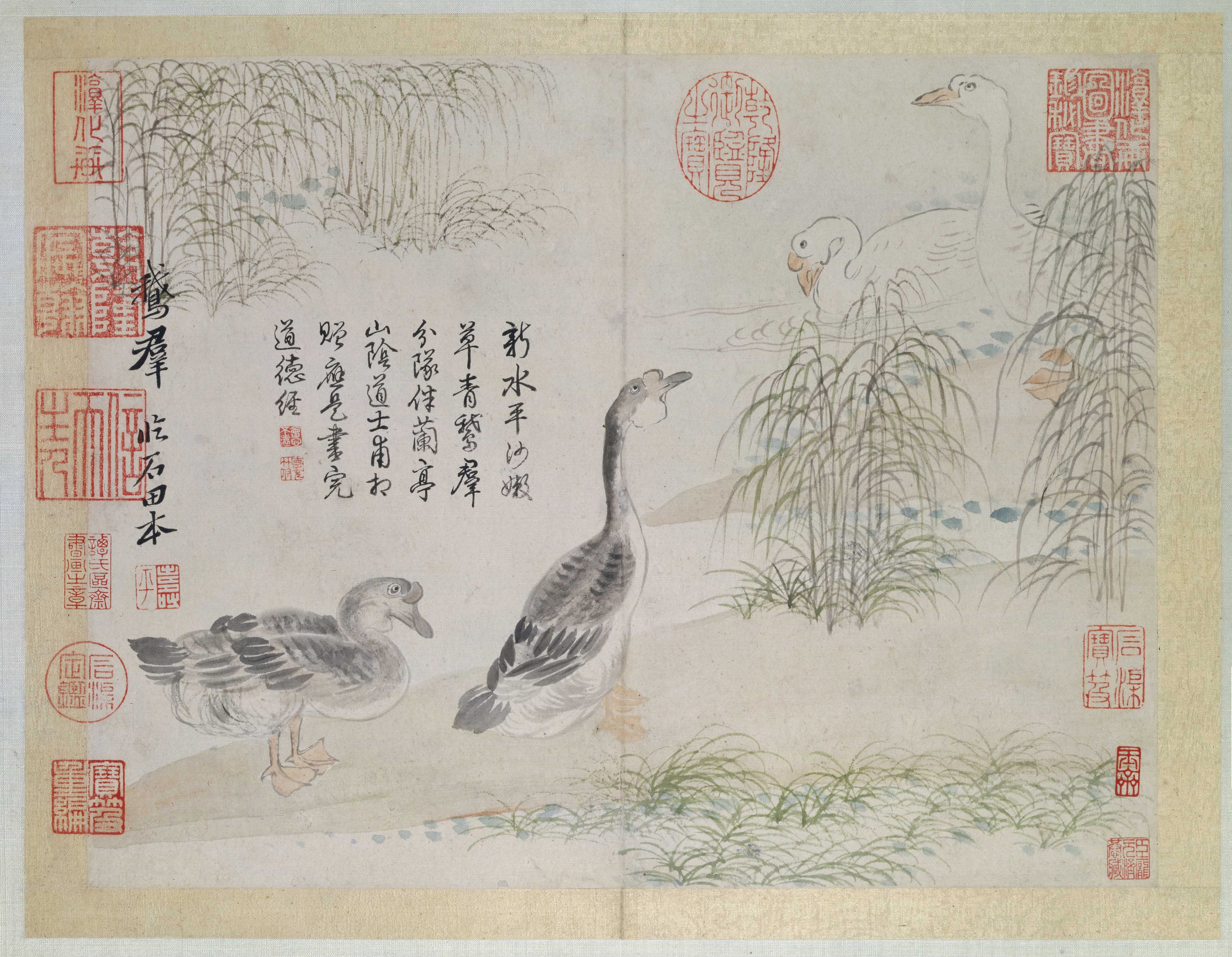 恽寿平山水花鸟图册之群鹅素材