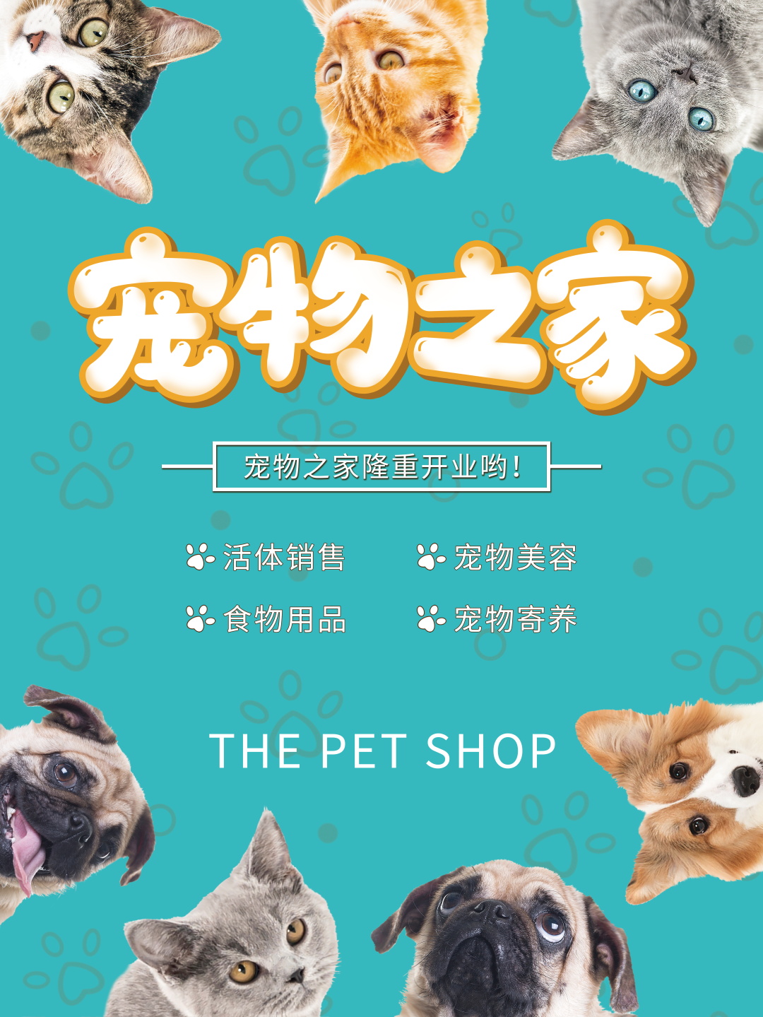宠物海报设计模板素材素材