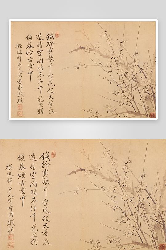 清恽寿平寒香图页-众图网