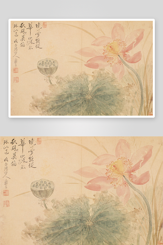 清恽寿平出水芙蓉临陈淳-众图网