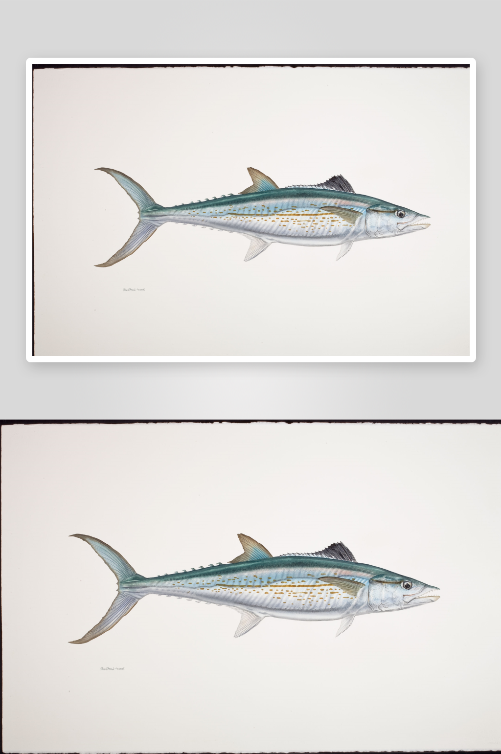 高清復(fù)古游魚魚類裝飾畫素材