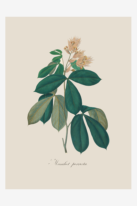 叶色小绽高清植物装饰画