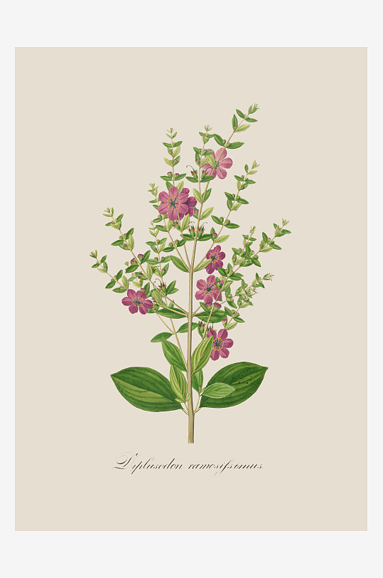 高清绿叶植物复古装饰画