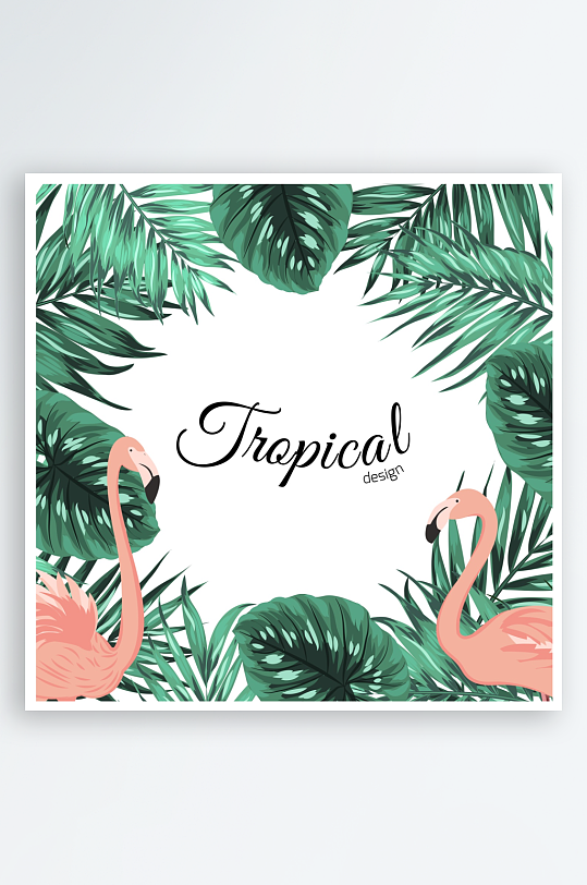 火烈鸟矢量背景插画素材-众图网