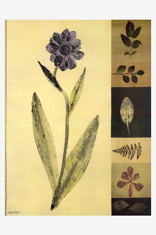 复古花卉植物装饰画