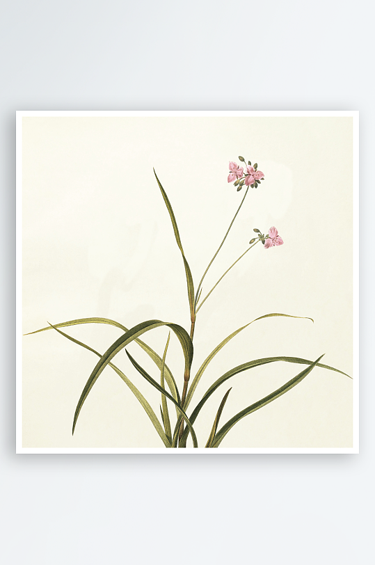 复古花卉植物中式装饰画