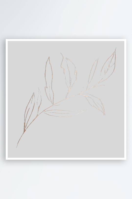 植物花卉手绘免抠素材-众图网