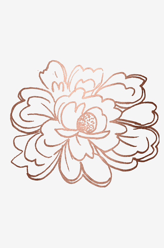 植物花卉手绘免抠素材-众图网