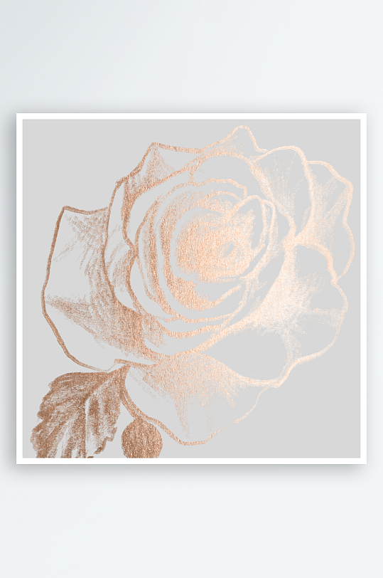 简约线描植物花卉免抠素材-众图网