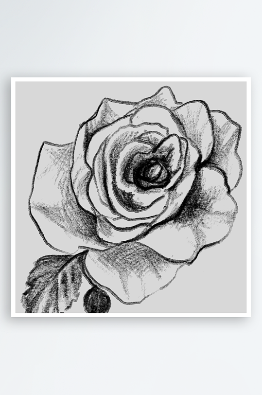 简约线描植物花卉免抠素材-众图网