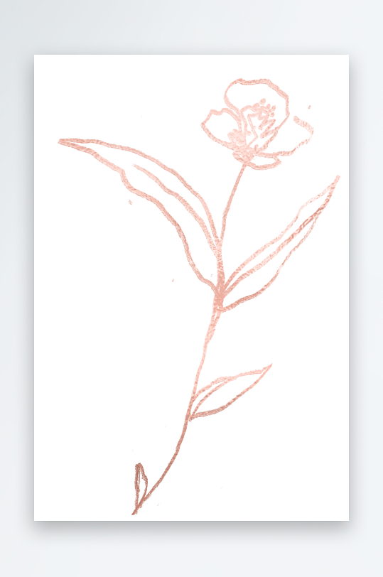简约线描植物花卉免抠素材-众图网