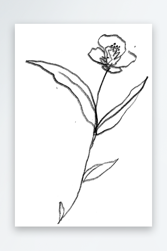 简约线描植物花卉免抠素材-众图网