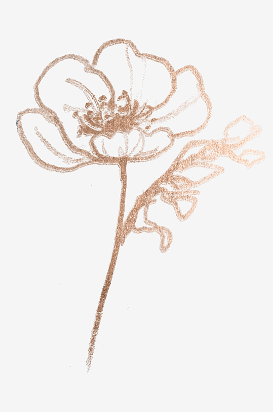 简约线描植物花卉免抠素材-众图网