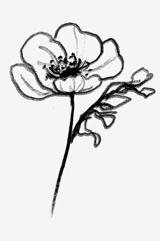简约线描植物花卉免抠素材-众图网