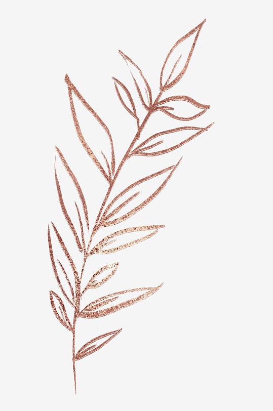 简约线描植物花卉免抠素材-众图网