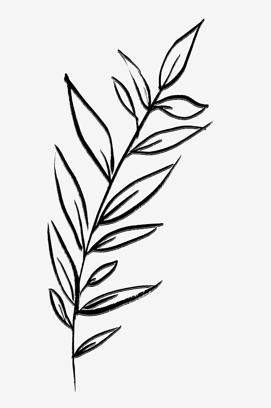 简约线描植物花卉免抠素材-众图网