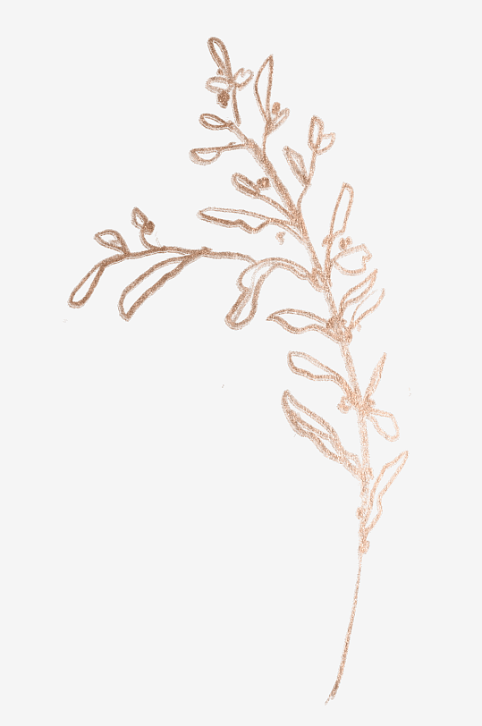 简约线描植物花卉免抠素材-众图网