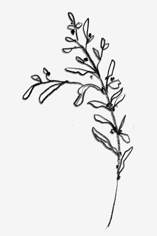 水彩植物花卉免抠素材-众图网