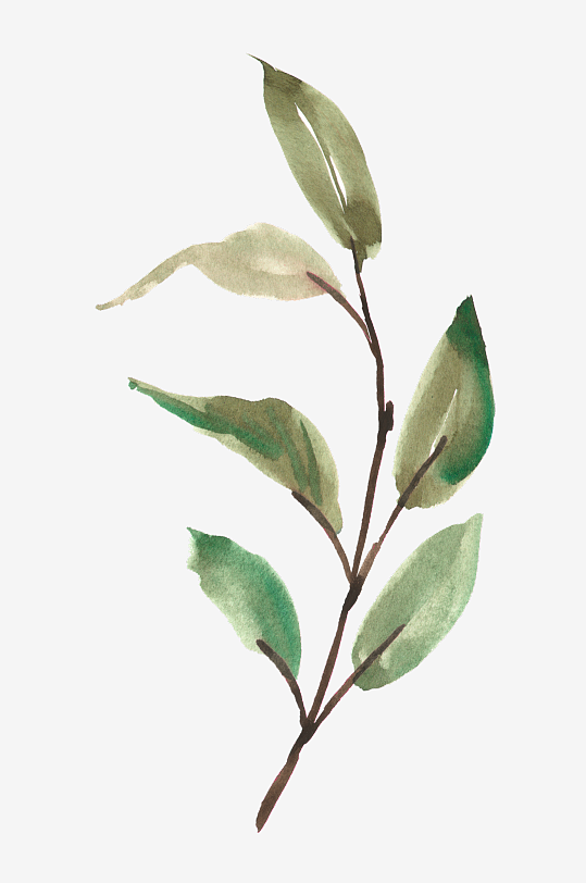 水彩植物花卉免抠素材-众图网