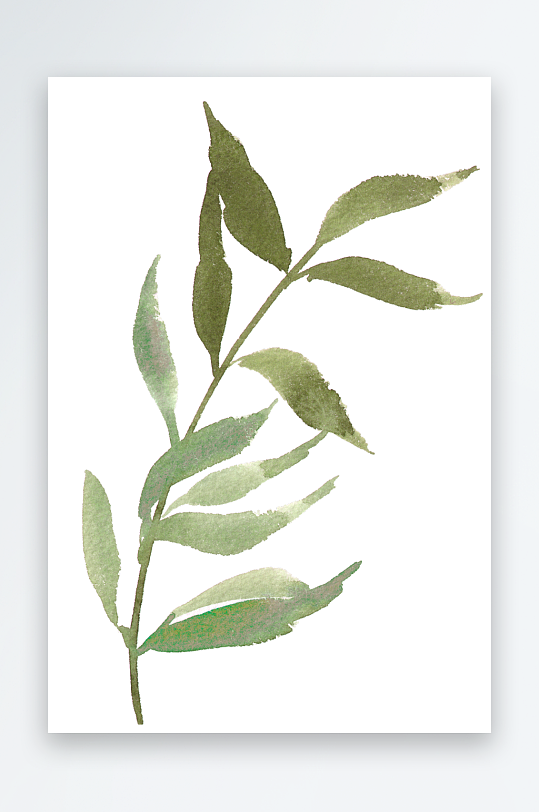 水彩植物花卉免抠素材-众图网