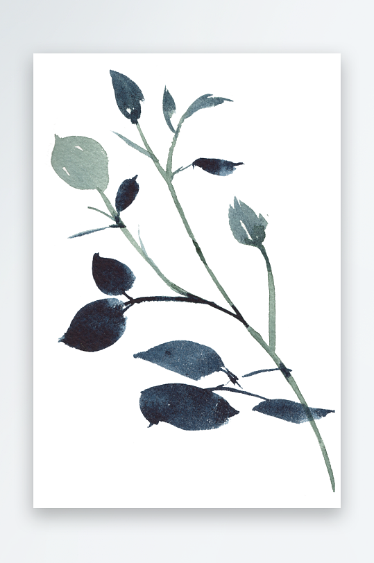 水彩植物花卉免抠素材-众图网