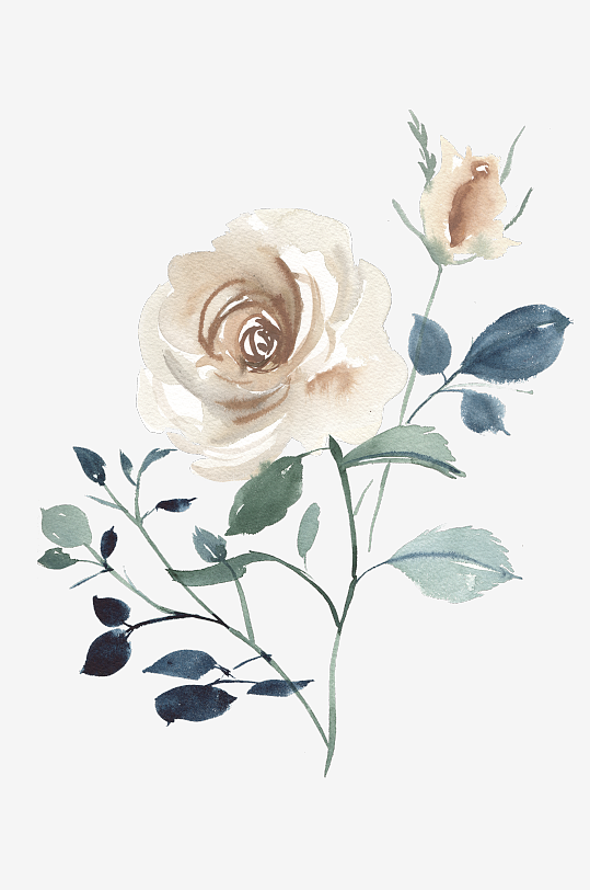 水彩植物花卉免抠素材-众图网