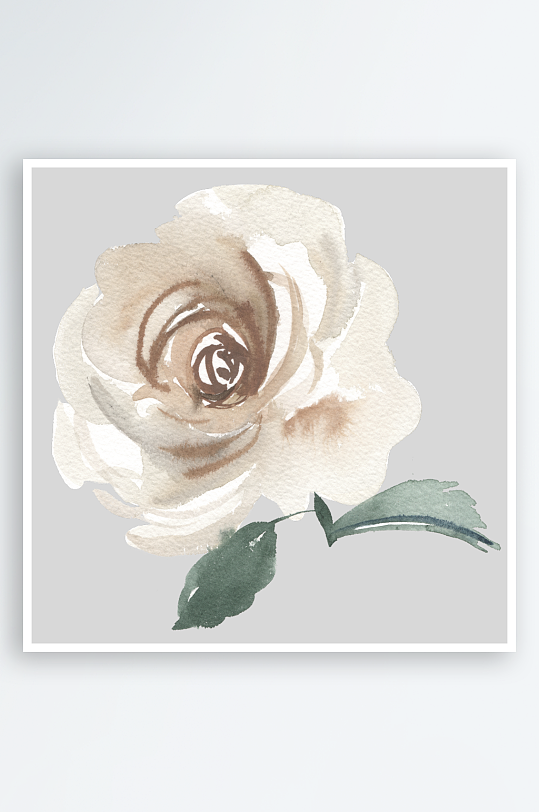 水彩植物花卉免抠素材-众图网