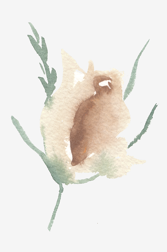 水彩植物花卉免抠素材-众图网