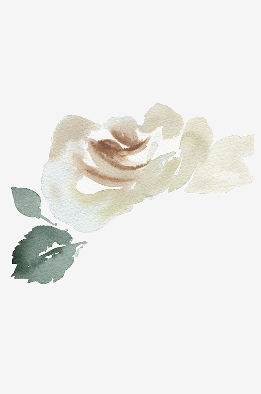 水彩植物花卉免抠素材-众图网