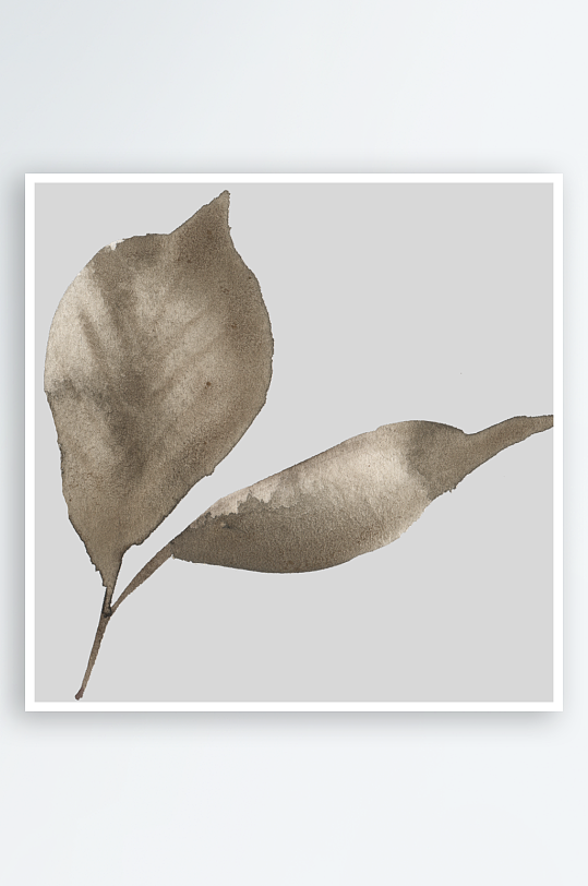 水彩植物树叶花卉免抠图-众图网