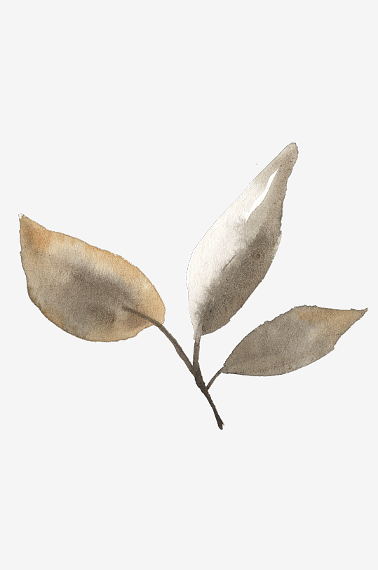 水彩植物树叶花卉免抠图-众图网