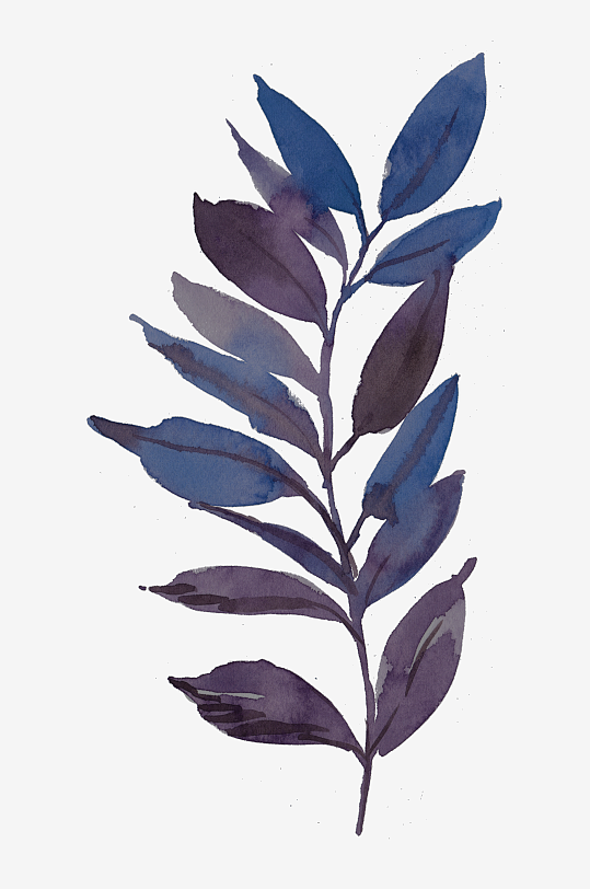 水彩植物树叶花卉免抠图-众图网