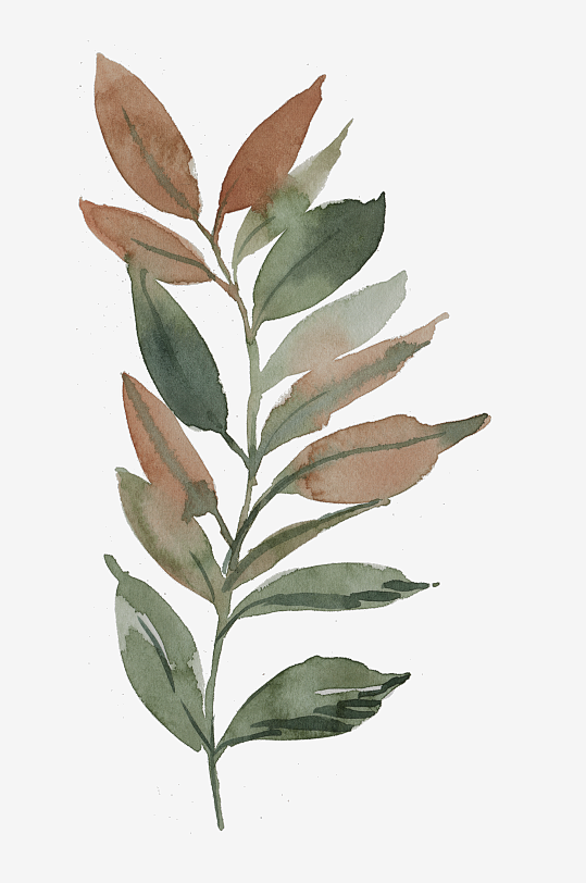 水彩植物树叶花卉免抠图-众图网