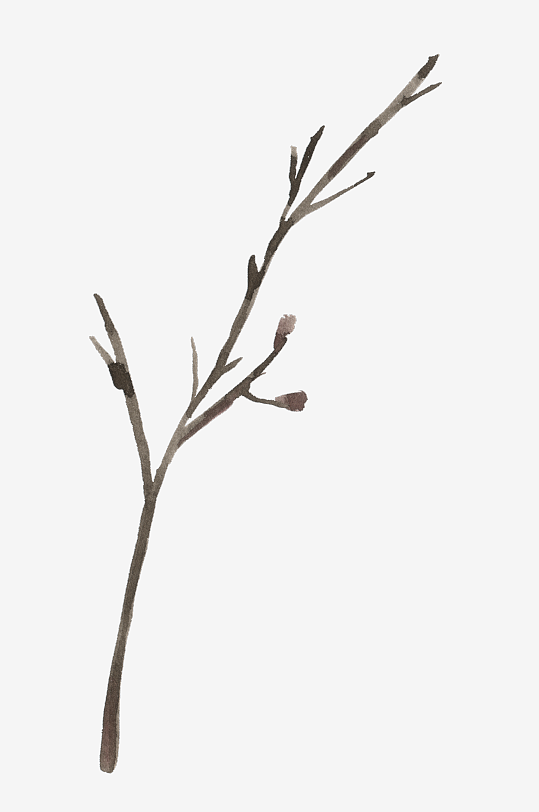 水彩植物树叶花卉免抠图-众图网