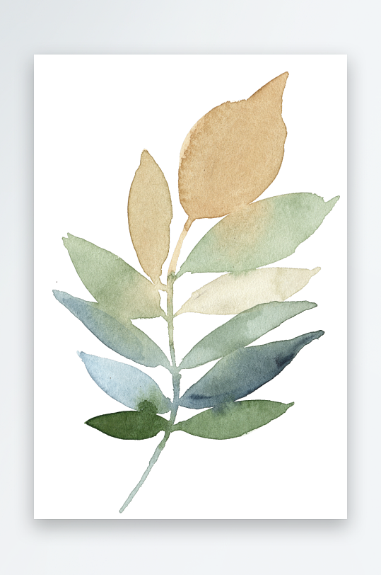 水彩植物树叶花卉免抠图-众图网