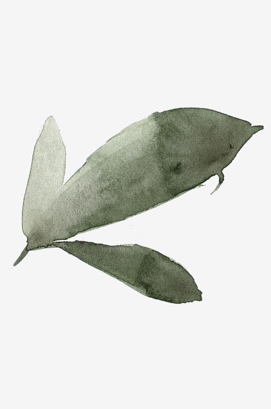 水彩植物树叶花卉免抠图-众图网