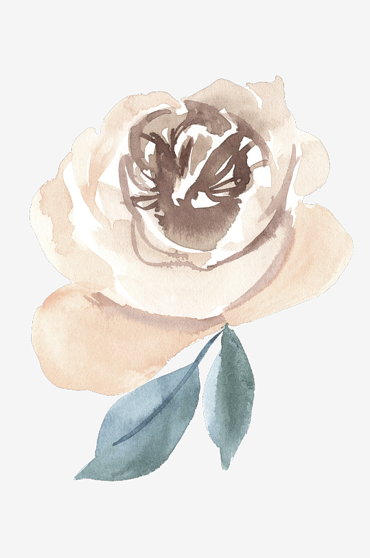 水彩植物树叶花卉免抠图-众图网