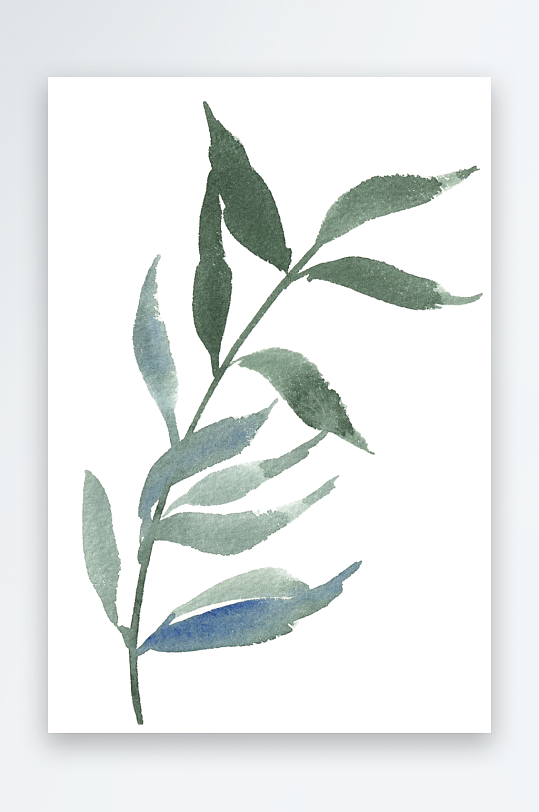 水彩植物树叶花卉免抠图-众图网