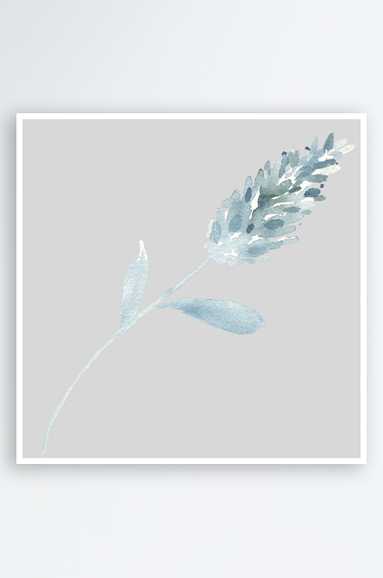 水彩植物树叶花卉免抠图-众图网