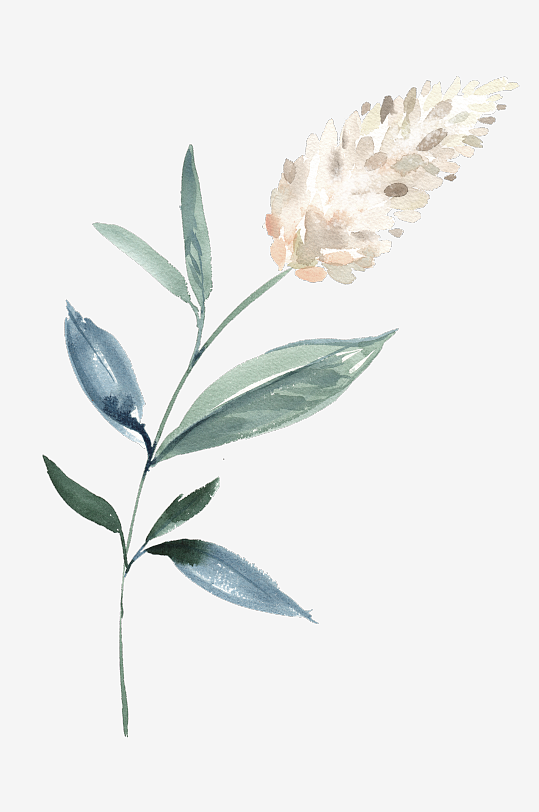 水彩植物树叶花卉免抠图-众图网