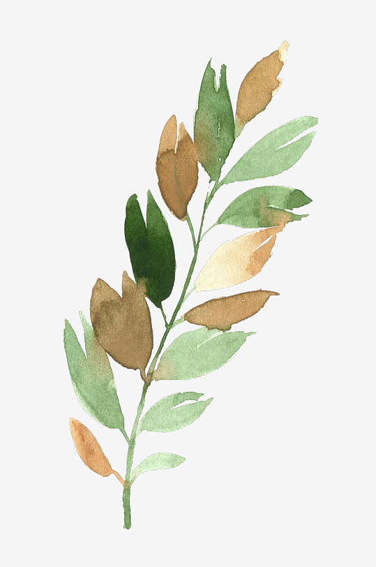 水彩植物树叶花卉免抠素材-众图网