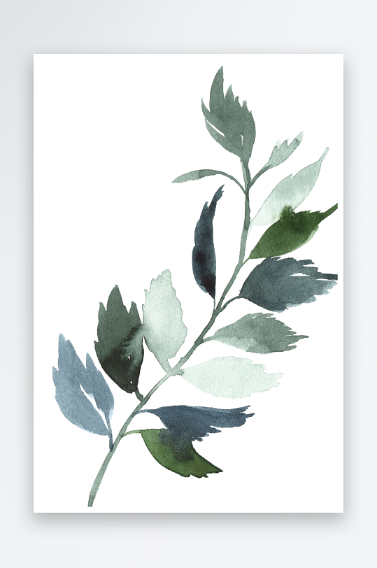 水彩植物树叶花卉免抠素材-众图网