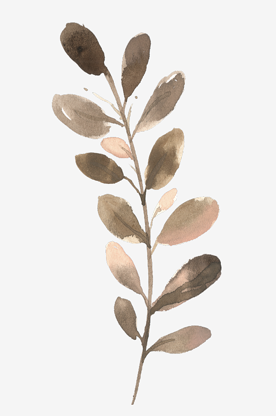 水彩植物树叶花卉免抠素材-众图网