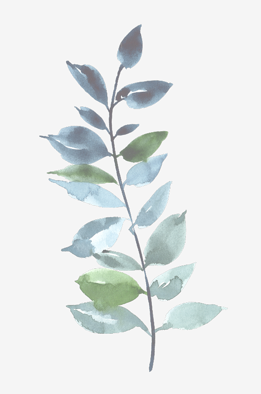 水彩植物树叶花卉免抠素材-众图网