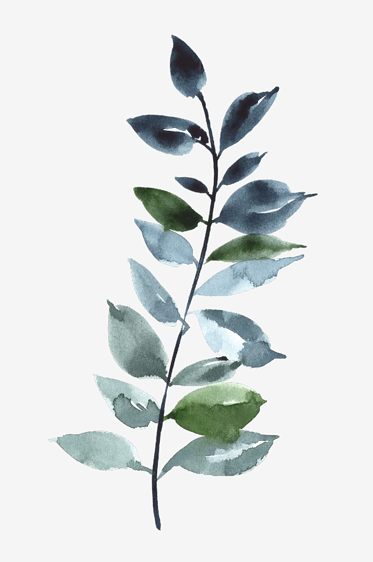 水彩植物树叶花卉免抠素材-众图网