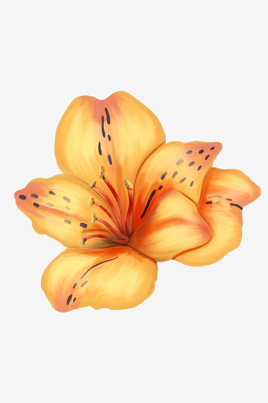 唯美水彩花卉免抠素材-众图网